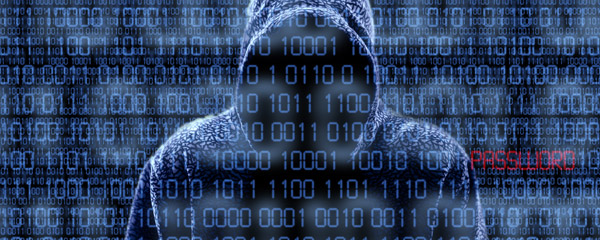 Who’s Protecting Your Privacy Online? No One…Except You!