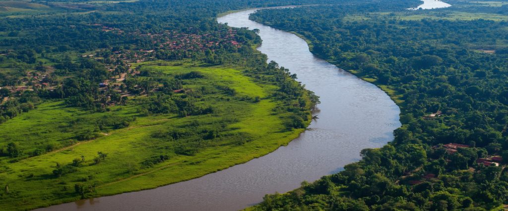 Concept art of an article about Paraguay Residency: Paraguayan landscape featuring lush forest and a winding river (AI Art)